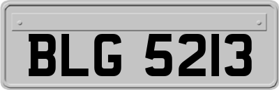 BLG5213