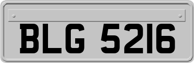 BLG5216
