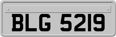 BLG5219