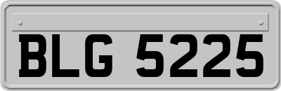 BLG5225