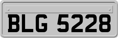 BLG5228