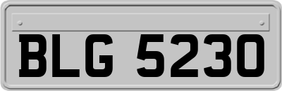 BLG5230