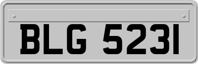 BLG5231