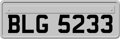 BLG5233
