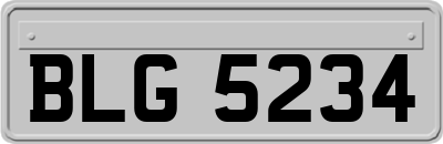BLG5234