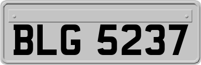 BLG5237
