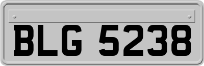 BLG5238