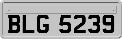 BLG5239