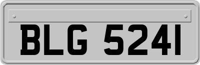 BLG5241