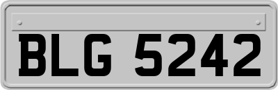 BLG5242