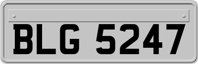 BLG5247