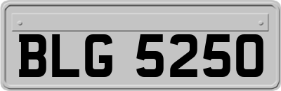 BLG5250