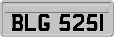 BLG5251