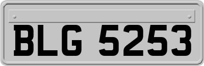 BLG5253