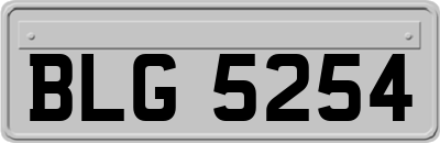 BLG5254