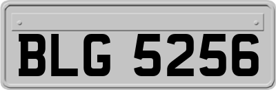 BLG5256