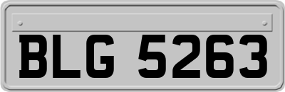 BLG5263