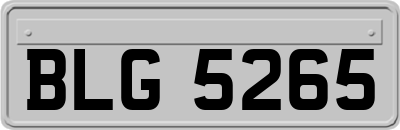 BLG5265
