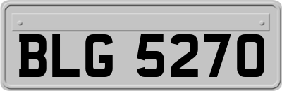 BLG5270