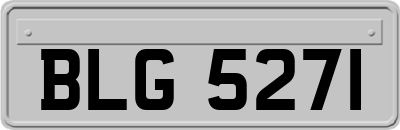 BLG5271