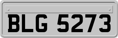 BLG5273