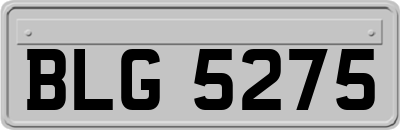 BLG5275