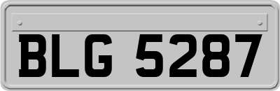 BLG5287