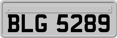 BLG5289