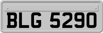 BLG5290