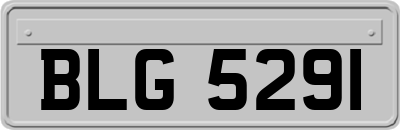 BLG5291