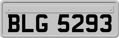 BLG5293