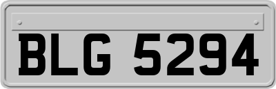 BLG5294