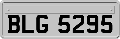 BLG5295