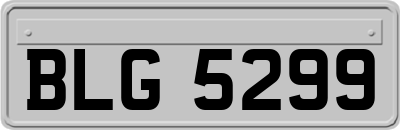 BLG5299
