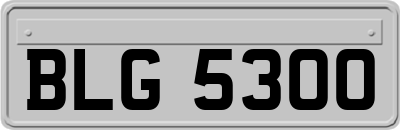 BLG5300