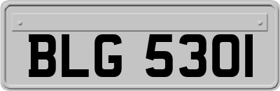 BLG5301