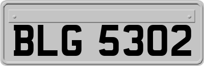 BLG5302