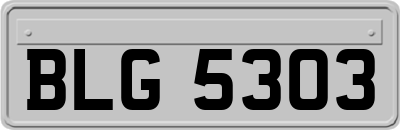 BLG5303