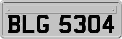 BLG5304