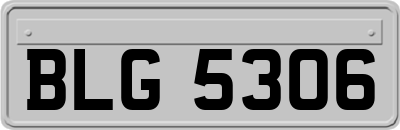 BLG5306
