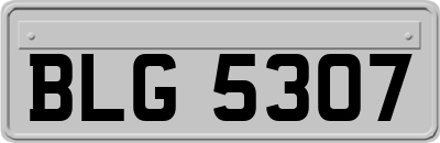BLG5307