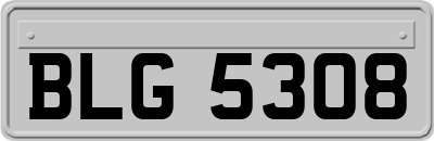 BLG5308