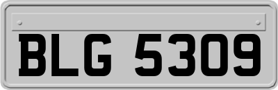 BLG5309