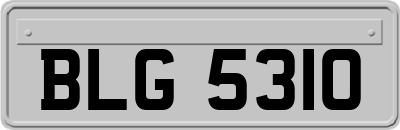 BLG5310