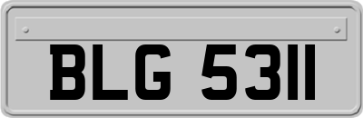 BLG5311
