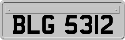 BLG5312