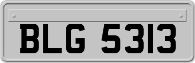 BLG5313