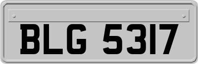 BLG5317