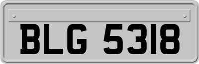 BLG5318