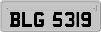 BLG5319